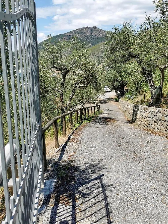 Il Frantoio Del Mesco - Levanto Italy