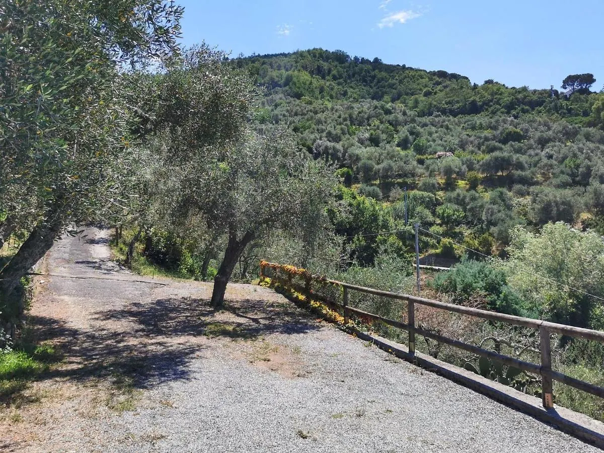 Il Frantoio Del Mesco - Levanto